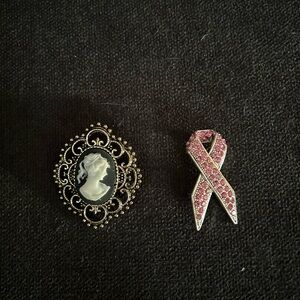 Elegant Cameo and Pink Ribbon Brooch Set
